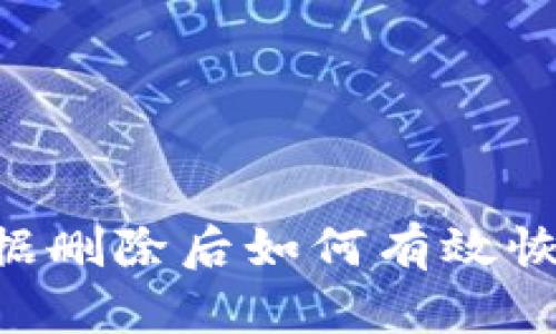 tpWallet数据删除后如何有效恢复：全面指南