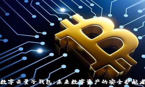   
数字云量子钱包：未来数字资产的安全护航者