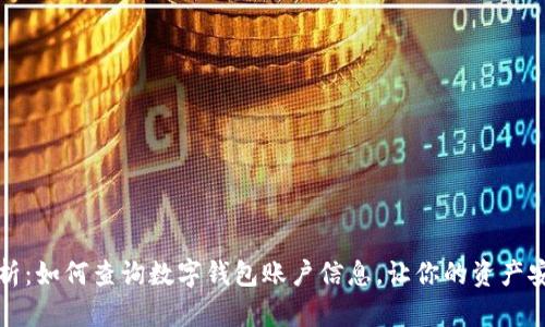 全面解析：如何查询数字钱包账户信息，让你的资产安全无忧