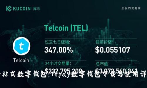 一站式数字钱包：Topay数字钱包下载与使用详解