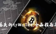 如何找回丢失的tpWallet：全面指南与解决方案