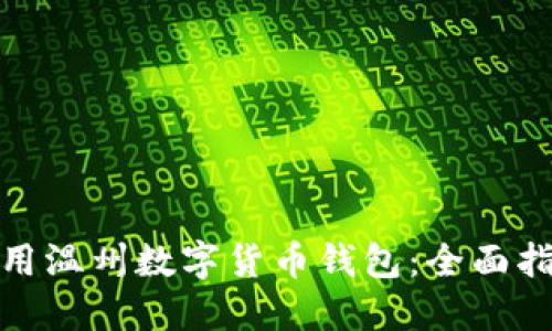 : 如何高效使用温州数字货币钱包：全面指南与实用技巧