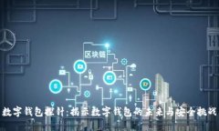 数字钱包探针：揭示数字钱包的未来与安全挑战