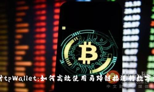 深入探讨tpWallet：如何高效使用马蹄链接进行数字资产管理