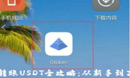 
tpWallet跨链转账USDT全攻略：从新手到高手的必备指南