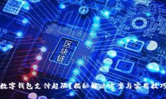 数字钱包支付超限？揭秘解决方案与实用技巧