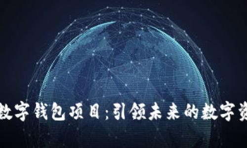 全面解析银链数字钱包项目：引领未来的数字资产管理新方式