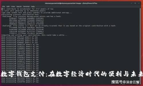 北京数字钱包支付：在数字经济时代的便利与未来展望