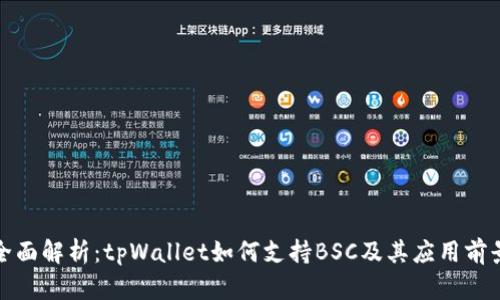 全面解析：tpWallet如何支持BSC及其应用前景