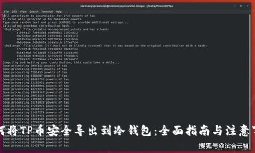 如何将TP币安全导出到冷钱包：全面指南与注意事项