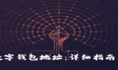 如何设置数字钱包地址：详细指南与注意事项