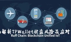 全面解析TPWallet被盗风险及应对策略