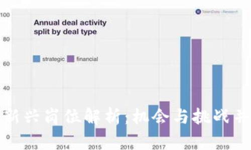 数字钱包行业新兴岗位解析：机会与挑战并存的职业蓝海