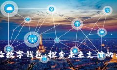 申雪体验数字钱包：探索未来支付的无限可能