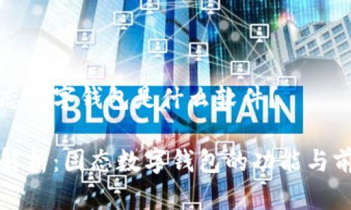 固态数字钱包是什么软件？

全解析：固态数字钱包的功能与前景