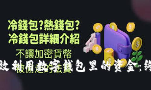 如何高效利用数字钱包里的资金：终极指南
