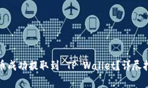如何将抹茶屎币成功提取到 TP Wallet？详尽指南与注意事项