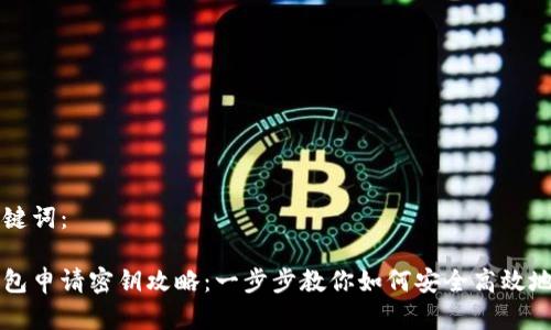 示例的和关键词：

智能数字钱包申请密钥攻略：一步步教你如何安全高效地获取与管理