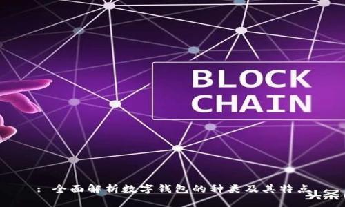 : 全面解析数字钱包的种类及其特点