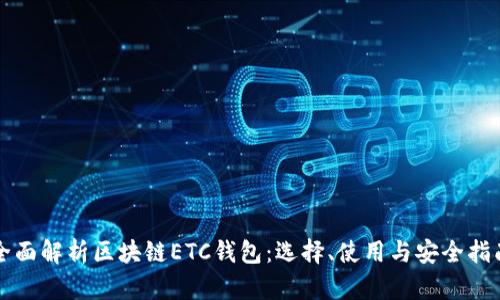 全面解析区块链ETC钱包：选择、使用与安全指南