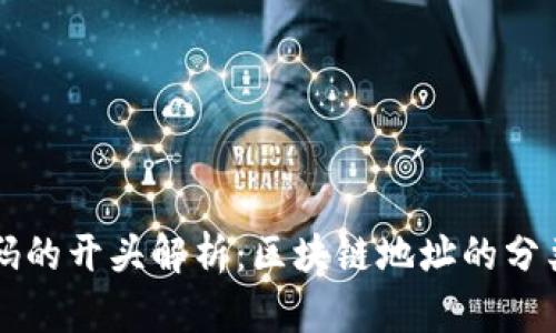 区块链钱包编码的开头解析：区块链地址的分类与安全性分析