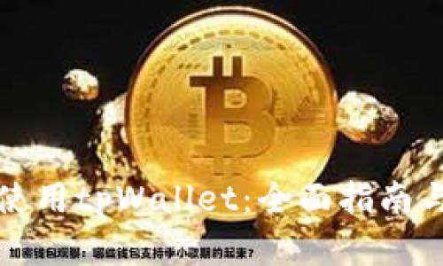 如何正确使用tpWallet：全面指南与最佳实践