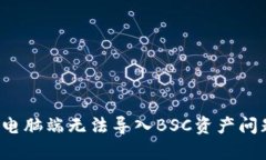 深度解析：tpWallet电脑端无法导入BSC资产问题的原