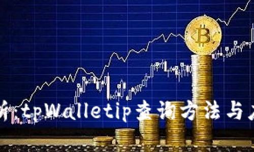 全面解析：tpWalletip查询方法与应用场景