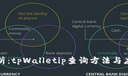 全面解析：tpWalletip查询方法与应用场景