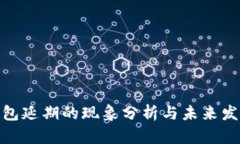 数字钱包延期的现象分析与未来发展趋势
