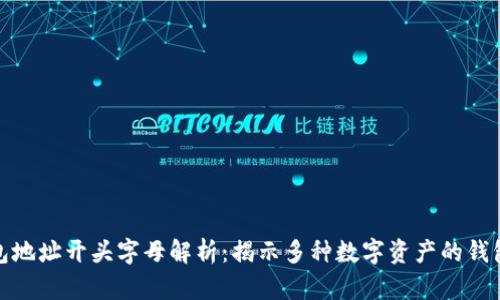 数字货币钱包地址开头字母解析：揭示多种数字资产的钱包类型与特征