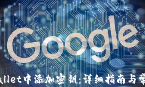 
如何在tpWallet中添加密钥：详细指南与常见问题解析