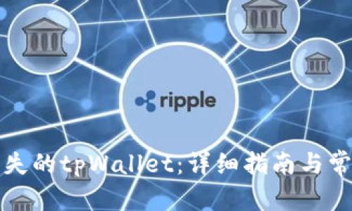 内容如下：

如何找回丢失的tpWallet：详细指南与常见问题解答