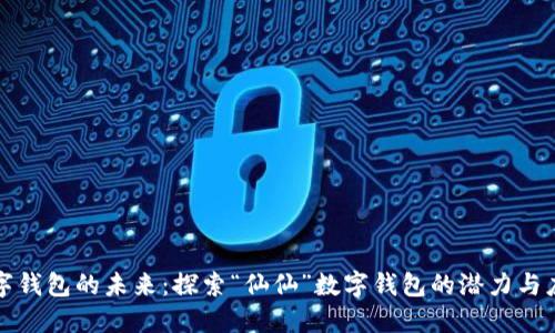 数字钱包的未来：探索“仙仙”数字钱包的潜力与应用