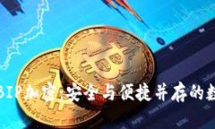 全面解析纸钱包BIP加密：安全与便捷并存的数字