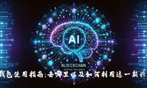 杭州数字钱包使用指南：去哪里以及如何利用这一新兴支付工具？