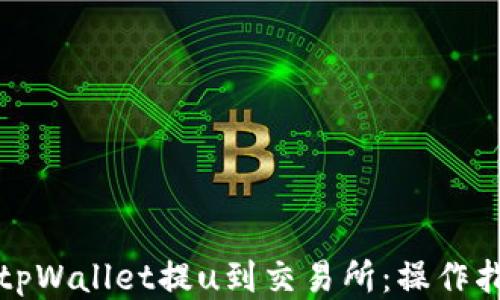 
如何通过tpWallet提u到交易所：操作指南与技巧
