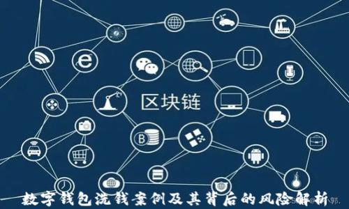 
数字钱包洗钱案例及其背后的风险解析