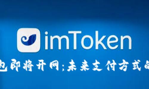 央行数字钱包即将开网：未来支付方式的变革与展望