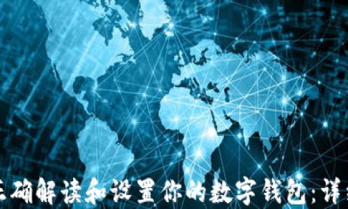 
如何正确解读和设置你的数字钱包：详细指南