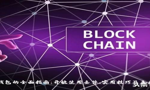 数字钱包的全面指南：开放使用条件、实用技巧及未来展望